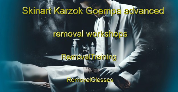 Skinart Karzok Goempa advanced removal workshops | RemovalTraining | RemovalClasses | SkinartTraining-India