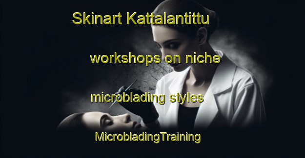 Skinart Kattalantittu workshops on niche microblading styles | MicrobladingTraining | MicrobladingClasses | SkinartTraining-India