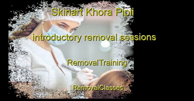 Skinart Khora Pipli introductory removal sessions | RemovalTraining | RemovalClasses | SkinartTraining-India