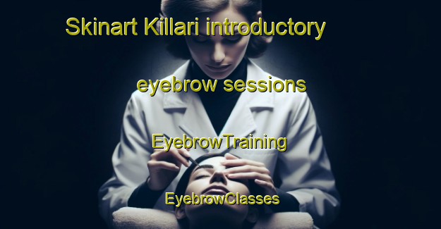 Skinart Killari introductory eyebrow sessions | EyebrowTraining | EyebrowClasses | SkinartTraining-India