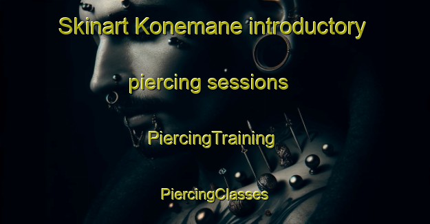 Skinart Konemane introductory piercing sessions | #PiercingTraining #PiercingClasses #SkinartTraining-India