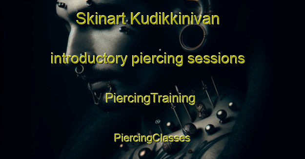 Skinart Kudikkinivan introductory piercing sessions | #PiercingTraining #PiercingClasses #SkinartTraining-India