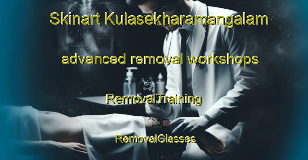 Skinart Kulasekharamangalam advanced removal workshops | RemovalTraining | RemovalClasses | SkinartTraining-India