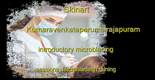 Skinart Kumaravenkataperumalrajapuram introductory microblading sessions | #MicrobladingTraining #MicrobladingClasses #SkinartTraining-India