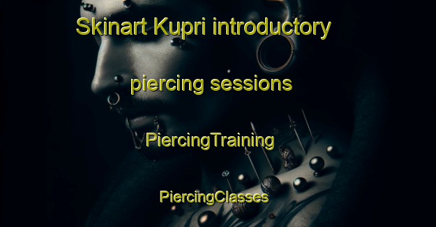 Skinart Kupri introductory piercing sessions | PiercingTraining | PiercingClasses | SkinartTraining-India