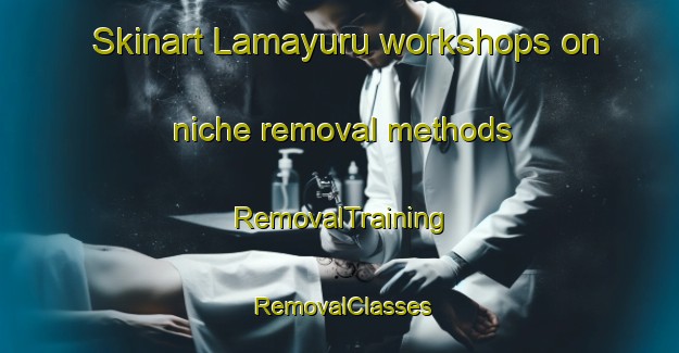 Skinart Lamayuru workshops on niche removal methods | RemovalTraining | RemovalClasses | SkinartTraining-India