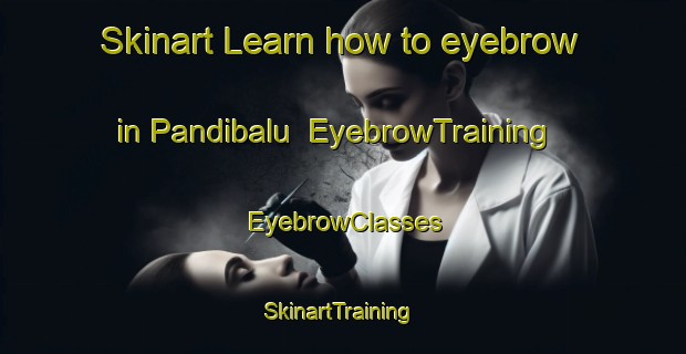 Skinart Learn how to eyebrow in Pandibalu | EyebrowTraining | EyebrowClasses | SkinartTraining-India