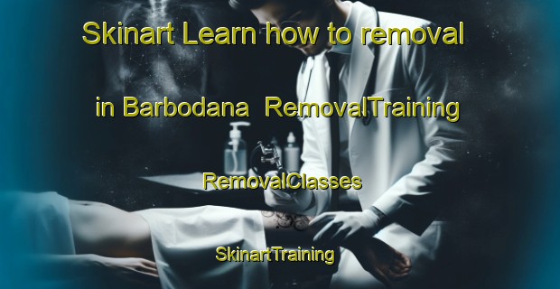 Skinart Learn how to removal in Barbodana | RemovalTraining | RemovalClasses | SkinartTraining-India