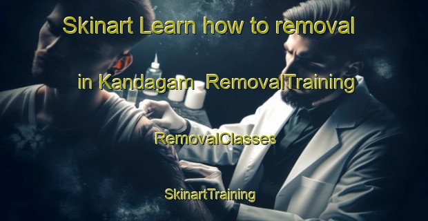 Skinart Learn how to removal in Kandagam | RemovalTraining | RemovalClasses | SkinartTraining-India