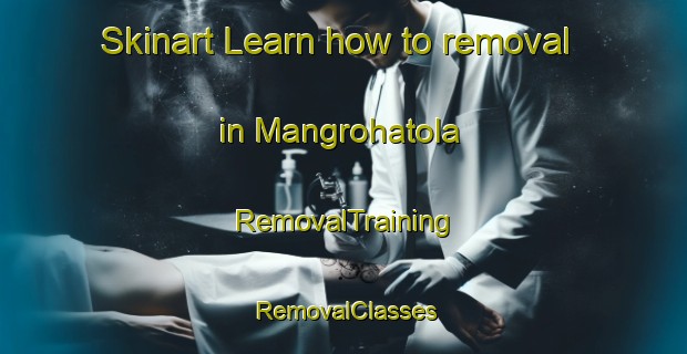 Skinart Learn how to removal in Mangrohatola | RemovalTraining | RemovalClasses | SkinartTraining-India