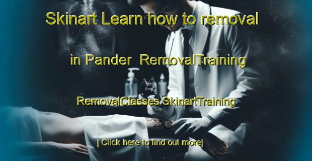 Skinart Learn how to removal in Pander | #RemovalTraining #RemovalClasses #SkinartTraining-India