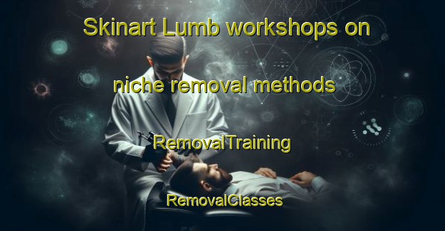 Skinart Lumb workshops on niche removal methods | RemovalTraining | RemovalClasses | SkinartTraining-India