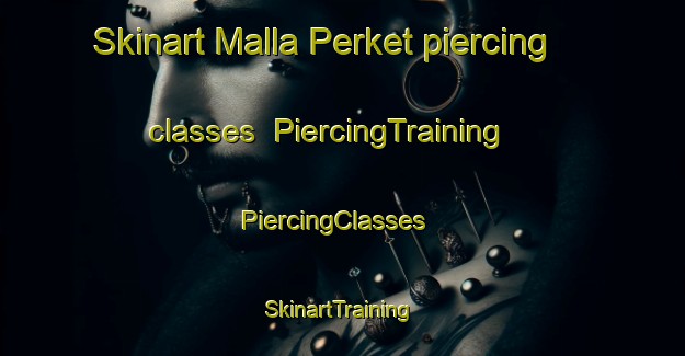 Skinart Malla Perket piercing classes | PiercingTraining | PiercingClasses | SkinartTraining-India