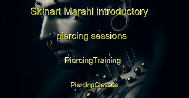 Skinart Marahl introductory piercing sessions | #PiercingTraining #PiercingClasses #SkinartTraining-India