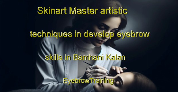 Skinart Master artistic techniques in develop eyebrow skills in Bamhani Kalan | EyebrowTraining | EyebrowClasses | SkinartTraining-India