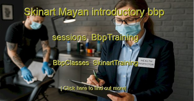 Skinart Mayan introductory bbp sessions | BbpTraining | BbpClasses | SkinartTraining-India