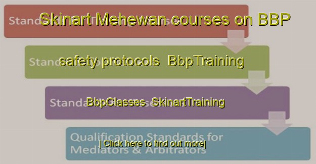 Skinart Mehewan courses on BBP safety protocols | BbpTraining | BbpClasses | SkinartTraining-India