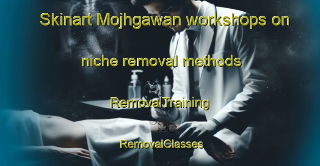 Skinart Mojhgawan workshops on niche removal methods | RemovalTraining | RemovalClasses | SkinartTraining-India