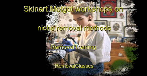 Skinart Motgot workshops on niche removal methods | RemovalTraining | RemovalClasses | SkinartTraining-India