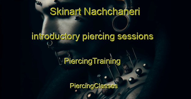 Skinart Nachchaneri introductory piercing sessions | PiercingTraining | PiercingClasses | SkinartTraining-India