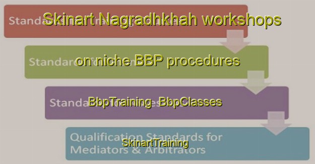 Skinart Nagradhkhah workshops on niche BBP procedures | BbpTraining | BbpClasses | SkinartTraining-India