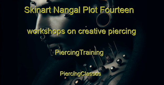 Skinart Nangal Plot Fourteen workshops on creative piercing | PiercingTraining | PiercingClasses | SkinartTraining-India