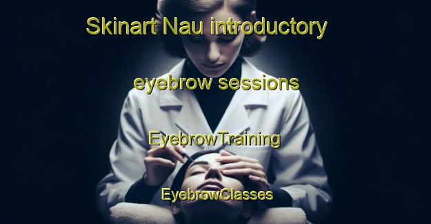 Skinart Nau introductory eyebrow sessions | EyebrowTraining | EyebrowClasses | SkinartTraining-India