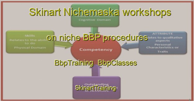 Skinart Nichemaska workshops on niche BBP procedures | BbpTraining | BbpClasses | SkinartTraining-India