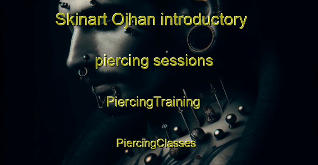 Skinart Ojhan introductory piercing sessions | PiercingTraining | PiercingClasses | SkinartTraining-India
