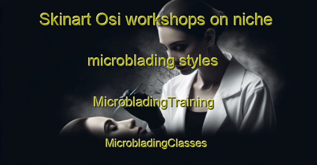 Skinart Osi workshops on niche microblading styles | MicrobladingTraining | MicrobladingClasses | SkinartTraining-India