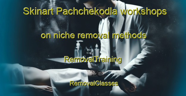 Skinart Pachchekodla workshops on niche removal methods | RemovalTraining | RemovalClasses | SkinartTraining-India