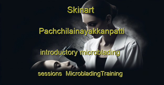 Skinart Pachchilainayakkanpatti introductory microblading sessions | MicrobladingTraining | MicrobladingClasses | SkinartTraining-India