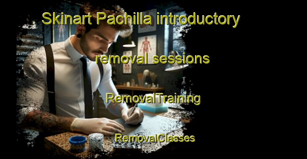 Skinart Pachilla introductory removal sessions | RemovalTraining | RemovalClasses | SkinartTraining-India