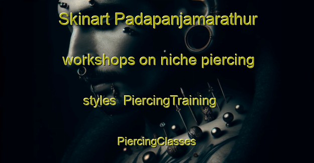 Skinart Padapanjamarathur workshops on niche piercing styles | #PiercingTraining #PiercingClasses #SkinartTraining-India