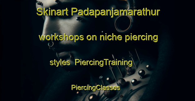 Skinart Padapanjamarathur workshops on niche piercing styles | PiercingTraining | PiercingClasses | SkinartTraining-India