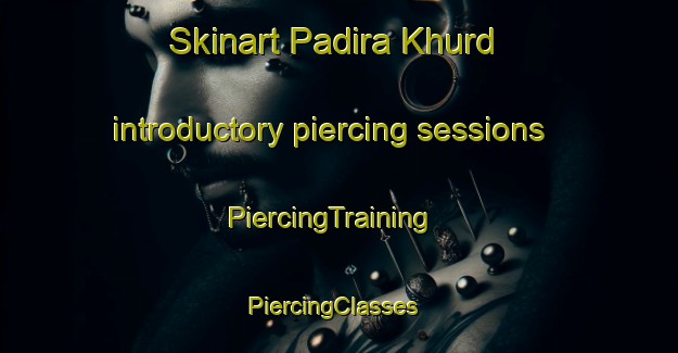 Skinart Padira Khurd introductory piercing sessions | PiercingTraining | PiercingClasses | SkinartTraining-India