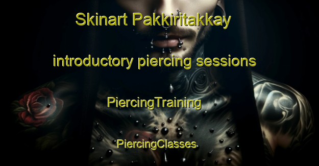 Skinart Pakkiritakkay introductory piercing sessions | PiercingTraining | PiercingClasses | SkinartTraining-India