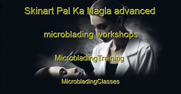 Skinart Pal Ka Nagla advanced microblading workshops | #MicrobladingTraining #MicrobladingClasses #SkinartTraining-India