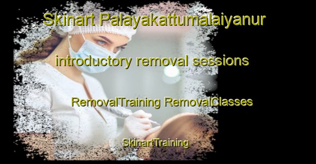 Skinart Palayakattumalaiyanur introductory removal sessions | #RemovalTraining #RemovalClasses #SkinartTraining-India