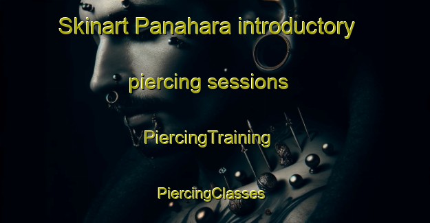 Skinart Panahara introductory piercing sessions | PiercingTraining | PiercingClasses | SkinartTraining-India