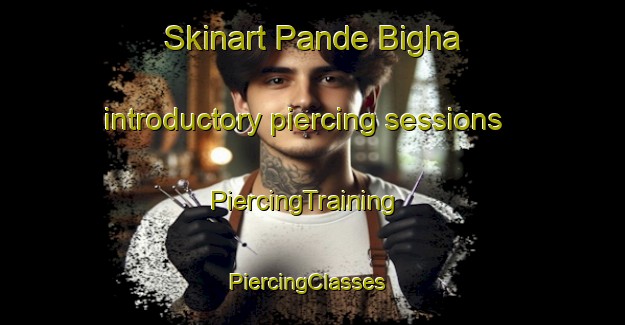 Skinart Pande Bigha introductory piercing sessions | PiercingTraining | PiercingClasses | SkinartTraining-India