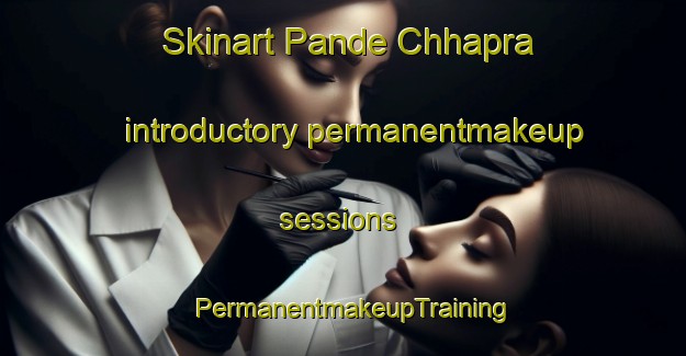 Skinart Pande Chhapra introductory permanentmakeup sessions | PermanentmakeupTraining | PermanentmakeupClasses | SkinartTraining-India