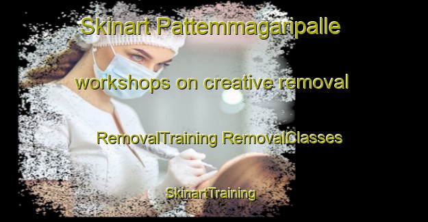 Skinart Pattemmagaripalle workshops on creative removal | #RemovalTraining #RemovalClasses #SkinartTraining-India