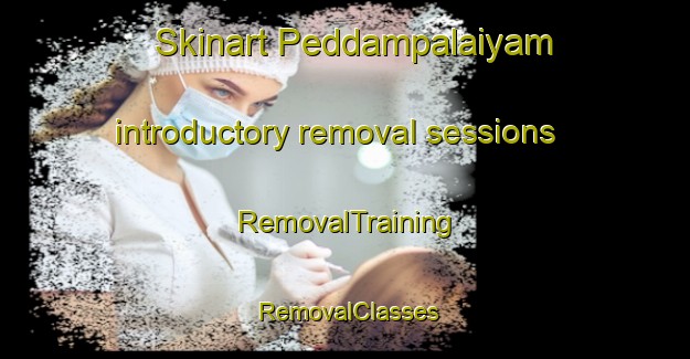 Skinart Peddampalaiyam introductory removal sessions | RemovalTraining | RemovalClasses | SkinartTraining-India