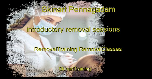 Skinart Pennagadam introductory removal sessions | #RemovalTraining #RemovalClasses #SkinartTraining-India