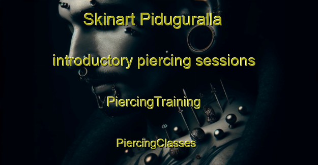 Skinart Piduguralla introductory piercing sessions | PiercingTraining | PiercingClasses | SkinartTraining-India