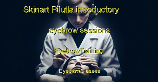 Skinart Pilutla introductory eyebrow sessions | EyebrowTraining | EyebrowClasses | SkinartTraining-India