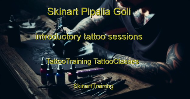 Skinart Pipalia Goli introductory tattoo sessions | #TattooTraining #TattooClasses #SkinartTraining-India