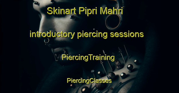 Skinart Pipri Mahri introductory piercing sessions | #PiercingTraining #PiercingClasses #SkinartTraining-India