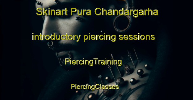 Skinart Pura Chandargarha introductory piercing sessions | PiercingTraining | PiercingClasses | SkinartTraining-India
